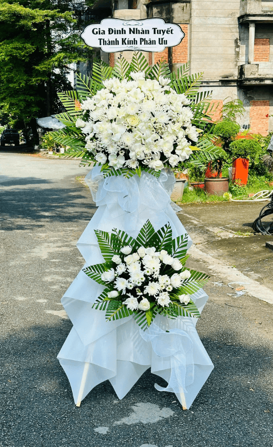 Kệ Hoa Tang - KT14